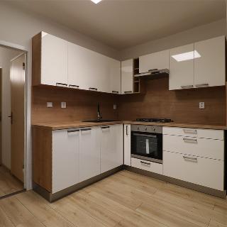 Pronájem bytu 1+1 36 m² Ostrava, Cholevova