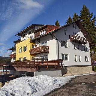 Prodej bytu 2+1 74 m² Harrachov