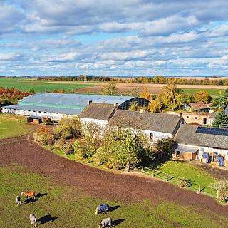 Prodej zemědělského objektu 3294 m² Břežany II