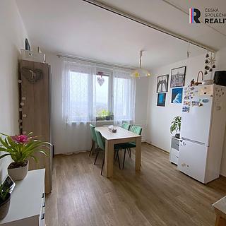 Pronájem bytu 1+1 39 m&sup2; Sokolov