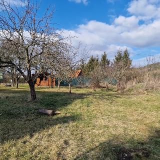 Prodej stavební parcely 999 m² Olešnice