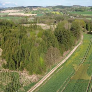 Prodej lesa 5 521 m² Mladá Vožice