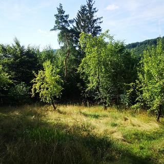 Prodej stavební parcely 1 256 m² Stříbrná Skalice