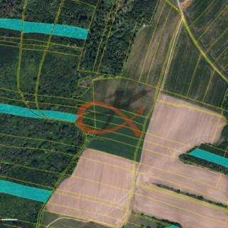 Prodej lesa 71 000 m² Fulnek