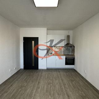 Pronájem bytu 1+kk a garsoniéry 29 m² Rožnov pod Radhoštěm, Meziříčská