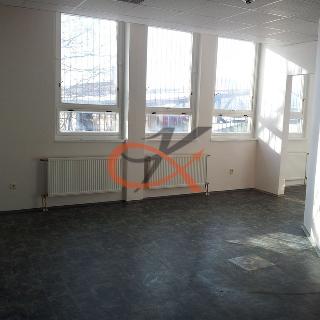 Pronájem obchodu 39 m² Valašské Meziříčí, U Apolla