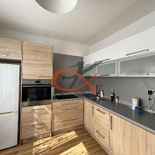 Pronájem bytu 1+1 39 m² Valašské Meziříčí, Zdeňka Fibicha