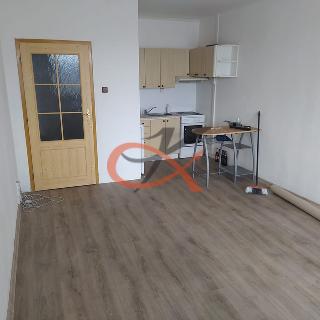 Prodej bytu 1+kk a garsoniéry 28 m² Rožnov pod Radhoštěm, Horská