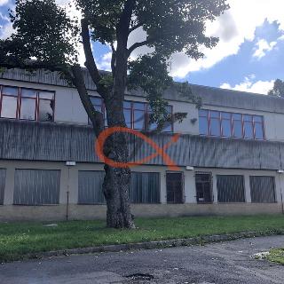 Pronájem ostatního komerčního prostoru 800 m² Kraslice, Dukelská