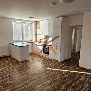 Pronájem bytu 3+kk 75 m² Poličná, 