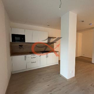 Prodej bytu 3+kk 88 m² Horní Bečva