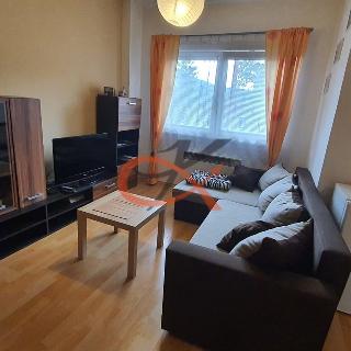 Pronájem bytu 2+kk 55 m² Vidče, 