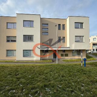 Pronájem bytu 1+kk a garsoniéry 39 m² Rožnov pod Radhoštěm, Na Harcovně