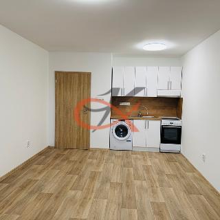 Pronájem bytu 1+kk a garsoniéry 26 m² Rožnov pod Radhoštěm, Meziříčská