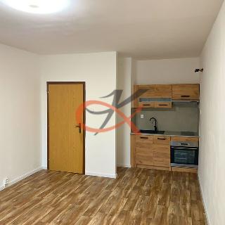 Pronájem bytu 1+kk a garsoniéry 28 m² Rožnov pod Radhoštěm, Svazarmovská