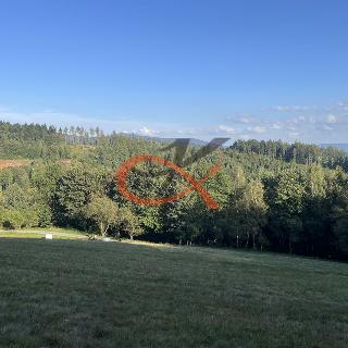 Prodej louky 5 765 m² Zubří, 