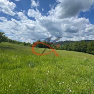 Prodej louky 25140 m² Nový Hrozenkov