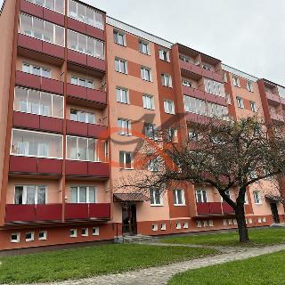 Pronájem bytu 1+kk a garsoniéry 30 m² Rožnov pod Radhoštěm, 5. května