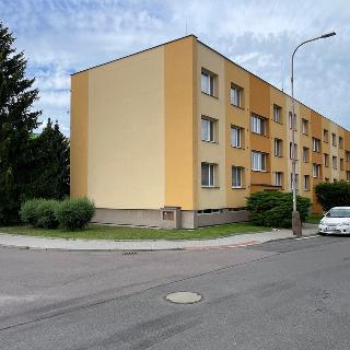 Prodej bytu 3+1 72 m² Holice, Holubova