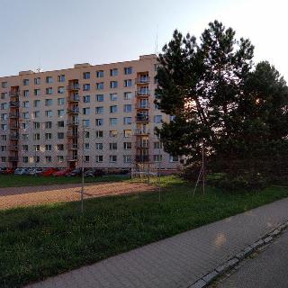 Pronájem bytu 3+1 64 m² Ústí nad Orlicí, U Hřiště