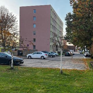 Prodej bytu 3+kk 67 m² Kolín, Funkeho