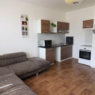 Prodej bytu 2+kk 43 m² Cvikov, Sídliště