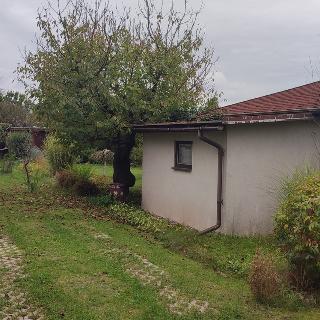 Pronájem chaty 14 m² Hradec Králové, Úprkova