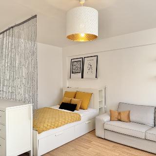 Pronájem bytu 1+1 36 m² Kutná Hora, Ortenova