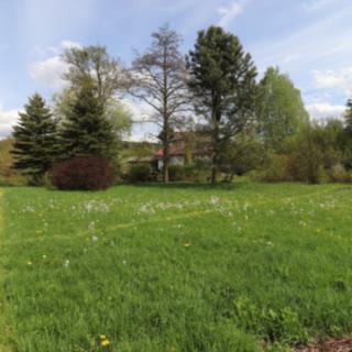 Prodej stavební parcely 2291 m² Volfartice