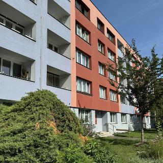 Pronájem bytu 2+1 47 m² Kutná Hora, Puškinská