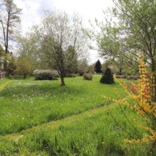 Prodej stavební parcely 2 291 m² Volfartice