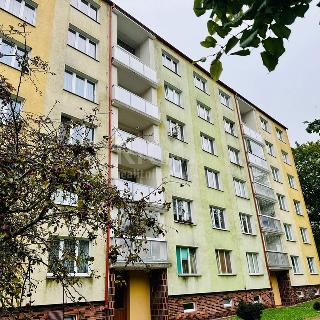 Pronájem bytu 3+1 65 m² Mariánské Lázně, Kubelíkova