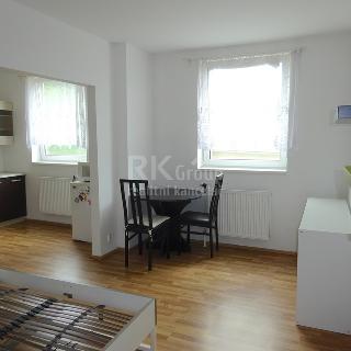 Pronájem bytu 1+kk a garsoniéry 40 m² Hýskov, Na Břasích