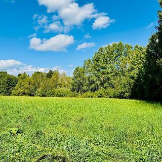 Prodej stavební parcely 1 225 m² Tři Sekery