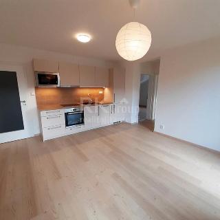 Pronájem bytu 3+kk 65 m² Slaný, Šultysova