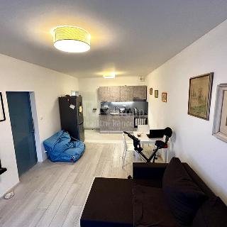 Prodej bytu 2+kk 53 m² Praha, Honzíkova