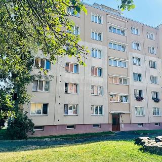 Prodej bytu 1+1 41 m² Cheb, Májová