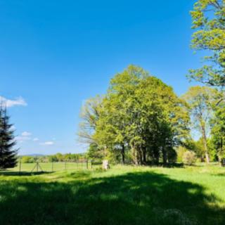 Prodej stavební parcely 1232 m² Tři Sekery