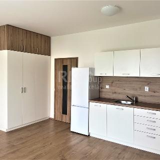 Pronájem bytu 1+kk a garsoniéry 33 m² Praha, Klapálkova