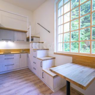 Pronájem bytu 1+kk a garsoniéry 30 m² Praha, K Dalejím