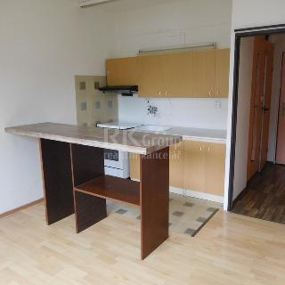 Prodej bytu 1+1 36 m² Děčín, Oblouková