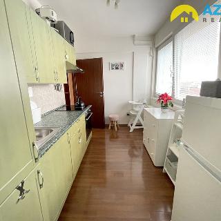 Pronájem bytu 2+1 45 m² Přerov, Bayerova