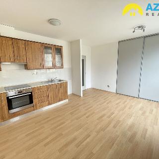 Pronájem bytu 1+kk a garsoniéry 27 m² Přerov, Jaselská