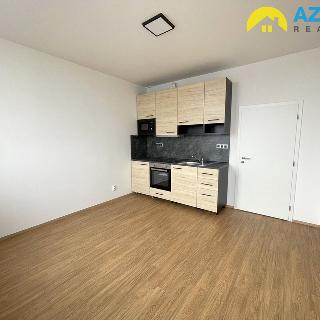 Pronájem bytu 1+kk a garsoniéry 27 m² Přerov, Čechova