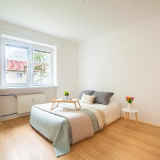 Pronájem bytu 2+1 47 m² Blansko, Chelčického