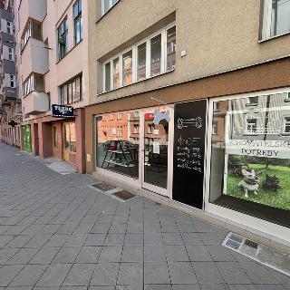 Prodej obchodu 115 m² Brno, Nerudova