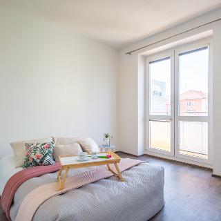 Pronájem bytu 2+1 52 m² Brno, Grohova