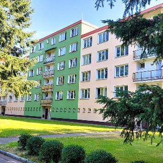 Pronájem bytu 3+1 65 m² České Budějovice, Nerudova