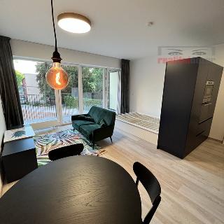 Pronájem bytu 1+kk a garsoniéry 30 m² Brno, Hybešova