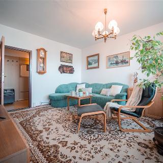 Prodej bytu 3+1 66 m² Zlín, Budovatelská